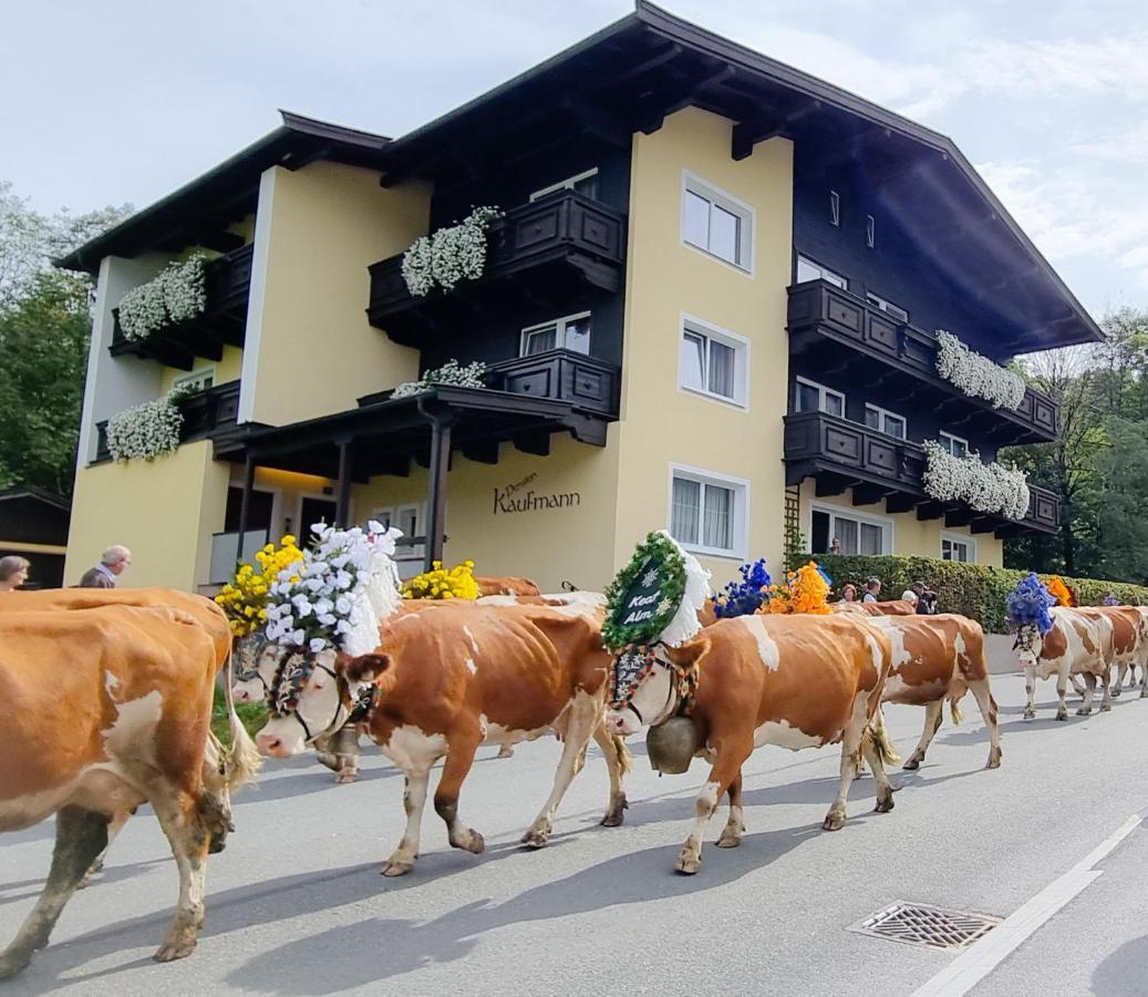 Mountain Fresh - Alpine Easy Stay Söll Eksteriør bilde